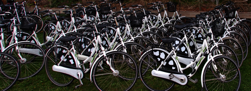 Fietsen familiedag nh