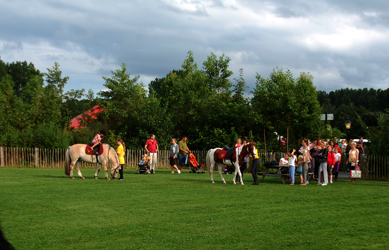ponyrijden bij deSwaan