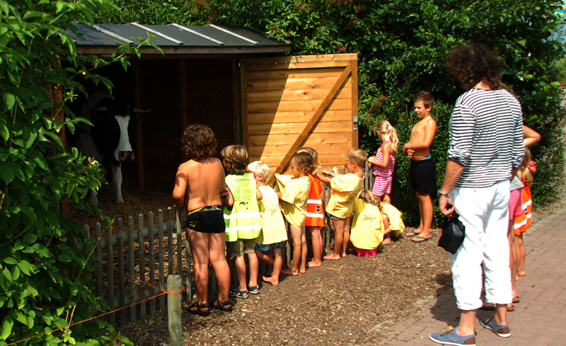 zomervakantie noordzeekust NH kinderen