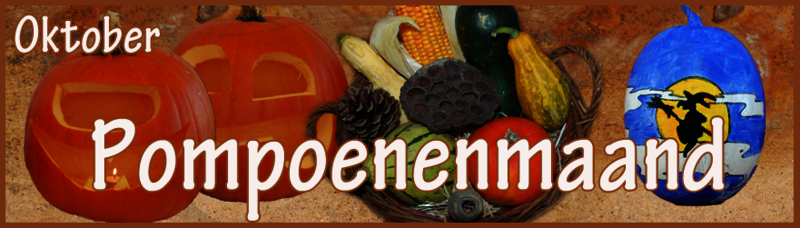 pompoen workshop noord-holland