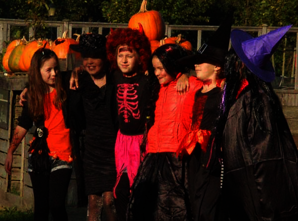 kinderfeestje halloween noord-holland